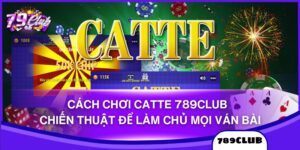 Cách Chơi Catte 789Club - Chiến Thuật Để Làm Chủ Mọi Ván Bài